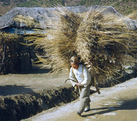 working man.jpg